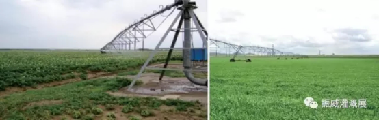 “京”益求精，“藍”出美好 京藍科技備戰中國最大灌溉展