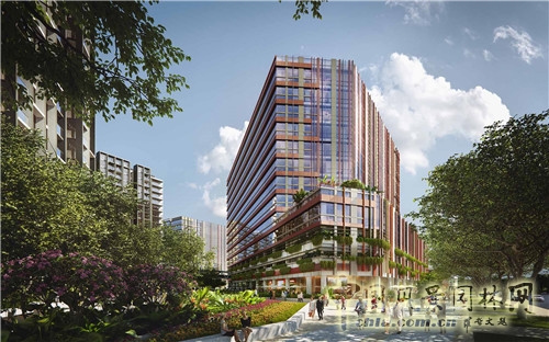 “綠色之光”特色景觀