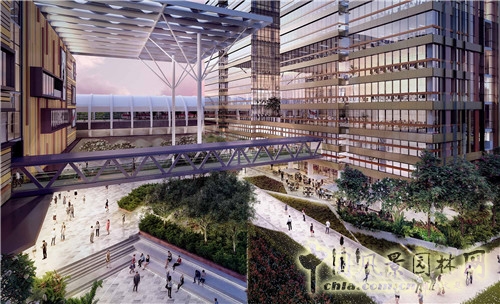 “綠色之光”特色景觀