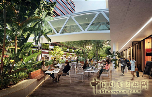 “綠色之光”特色景觀