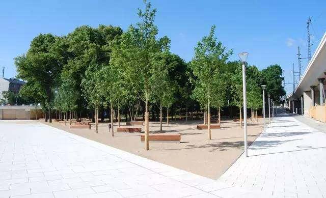 “十三五”我國園林綠化行業前景如何？