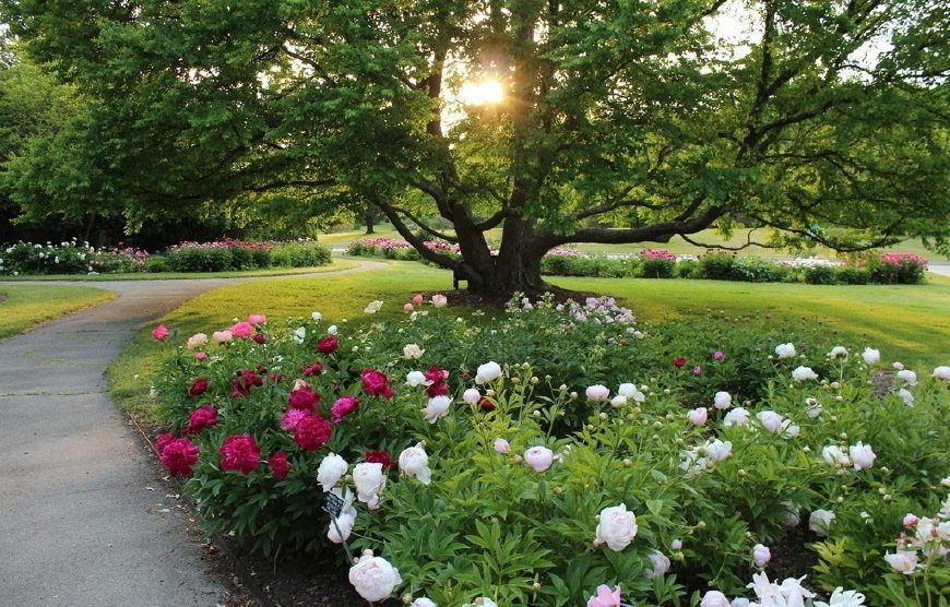 “十三五”我國園林綠化行業前景如何？