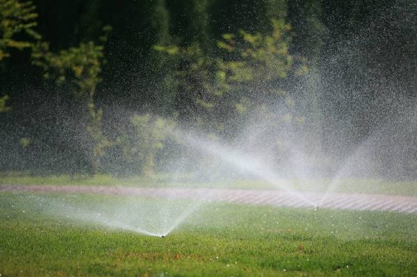 園林綠化高速發展 養護業務前景可期