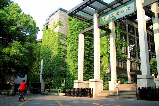 立體綠化：提升城市綠色“肚量”的利器