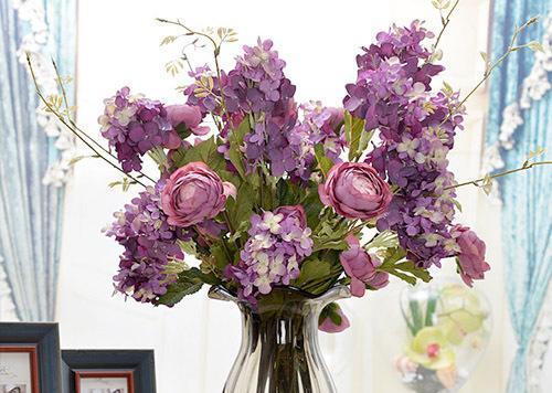 春季室內常見花卉養護指南