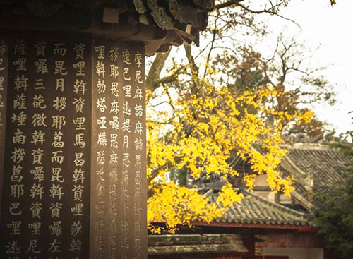 淺談寺廟苗木的使用與配置