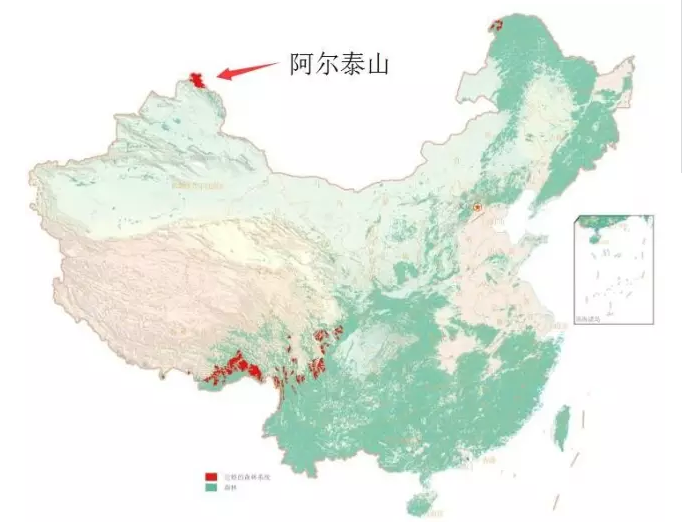 中國國家公園即將出爐，誰可以代表中國？