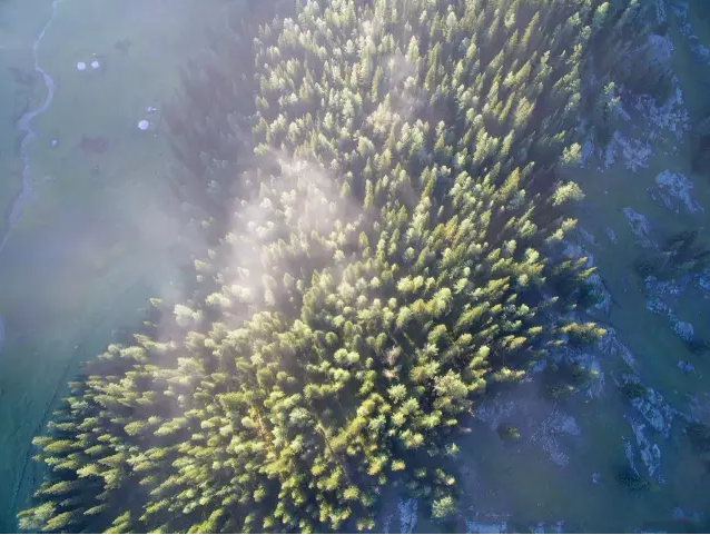 中國國家公園即將出爐，誰可以代表中國？