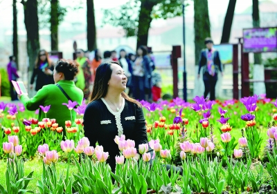 武漢植物園60萬株郁金香盛放