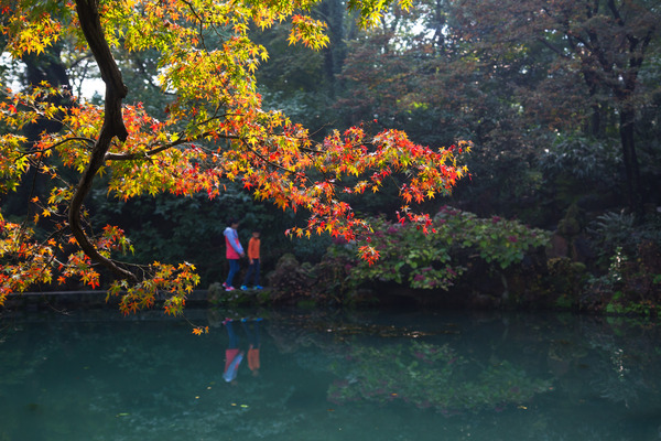 始建于明代的江南園林 寄暢園