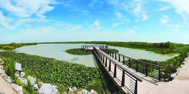 我國園林行業未來發展五大趨勢