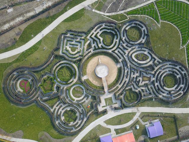 浙江省內(nèi)最大植物迷宮3月9日對(duì)外開(kāi)放