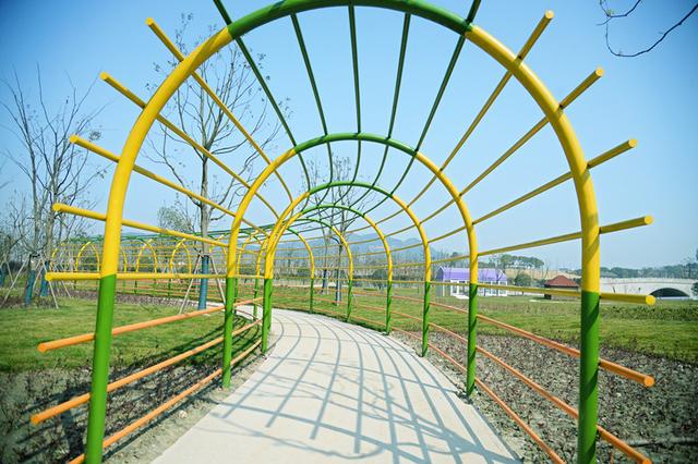 浙江省內(nèi)最大植物迷宮3月9日對(duì)外開(kāi)放