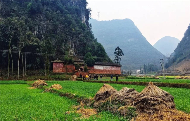未來鄉村樓納實踐學術研討會召開在即 
