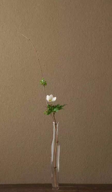 藝術，插花里也充滿著禪意