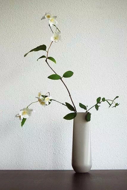 藝術,插花里也充滿著禪意