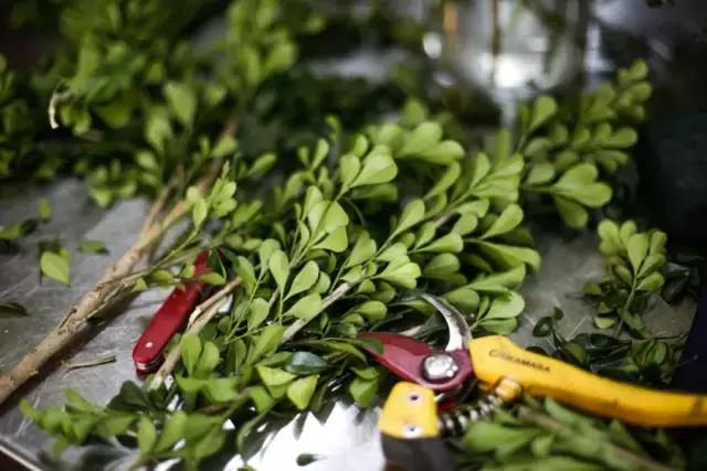 看花藝師施展“魔法”