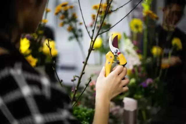 看花藝師施展“魔法”