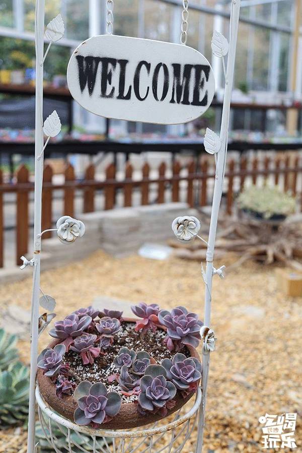 湖南省植物園的櫻花綻放