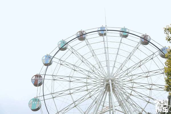 湖南省植物園的櫻花綻放