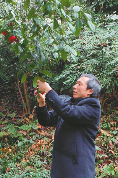 從農(nóng)民到植物專家 峨眉山有個(gè)植物“活地圖”