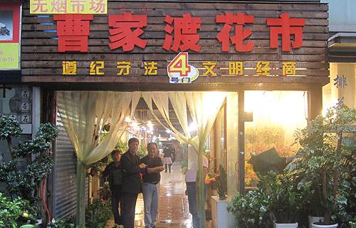 花木行情:上海花市“小而精”特點鮮明