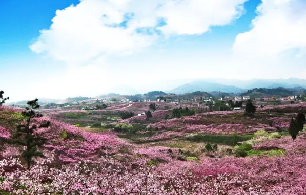 產業建園區 園區變景區