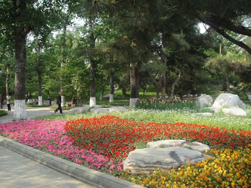 4月10日北京精品園林考察，火熱招募中！