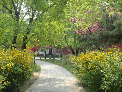 4月10日北京精品園林考察，火熱招募中！