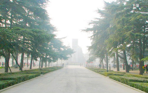 開啟園林植保高工效時(shí)代——城市園林植保用藥的革新