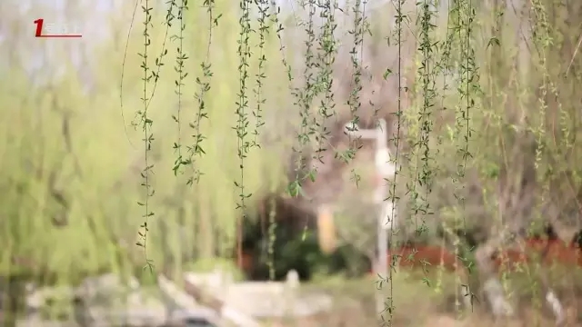 這城市根本就是座大園林！