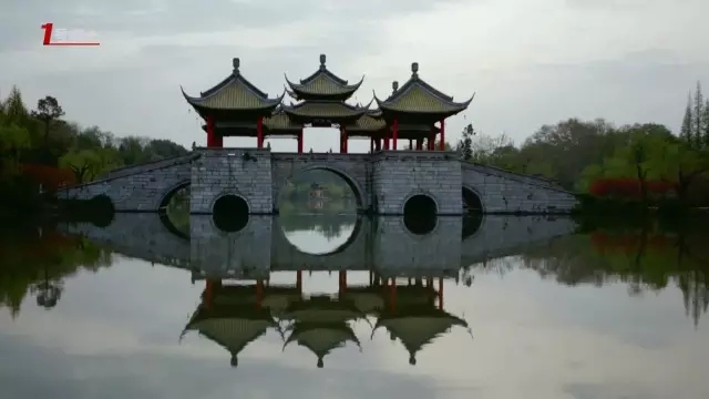 這城市根本就是座大園林！