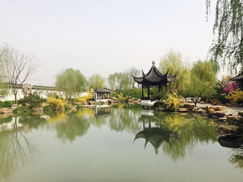 與大師同行 北京精品園林考察活動圓滿結(jié)束