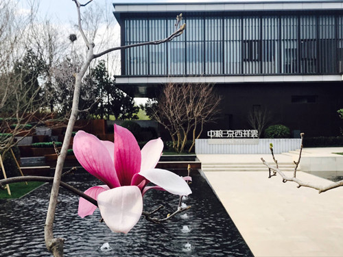 與大師同行 北京精品園林考察活動圓滿結(jié)束