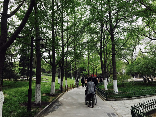 與大師同行 北京精品園林考察活動圓滿結(jié)束