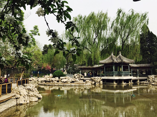 與大師同行 北京精品園林考察活動圓滿結(jié)束