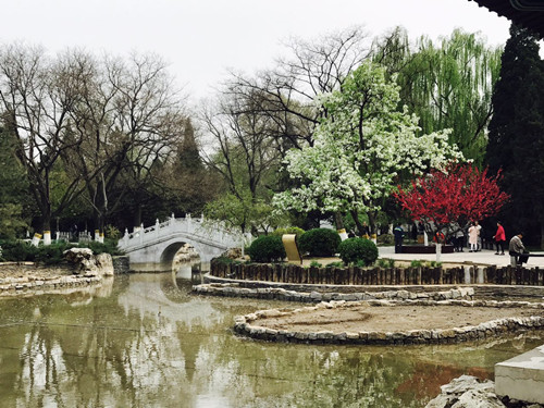 與大師同行 北京精品園林考察活動圓滿結(jié)束