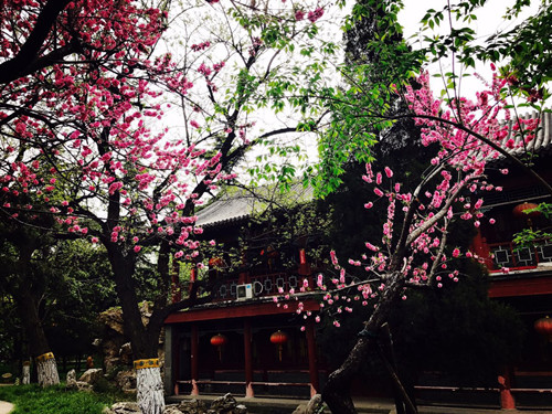 與大師同行 北京精品園林考察活動圓滿結(jié)束