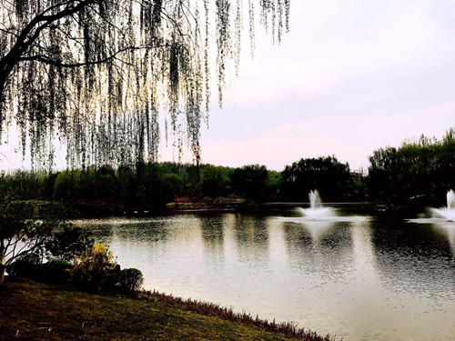 與大師同行 北京精品園林考察活動圓滿結(jié)束