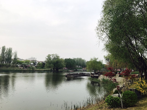 與大師同行 北京精品園林考察活動圓滿結(jié)束