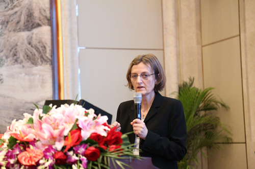 中外專家熱議海綿城市與水生態水景觀設計