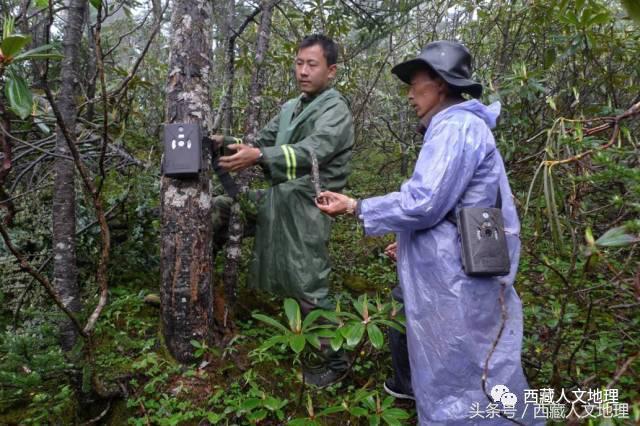 影像捕捉世界最大峽谷的生物多樣性