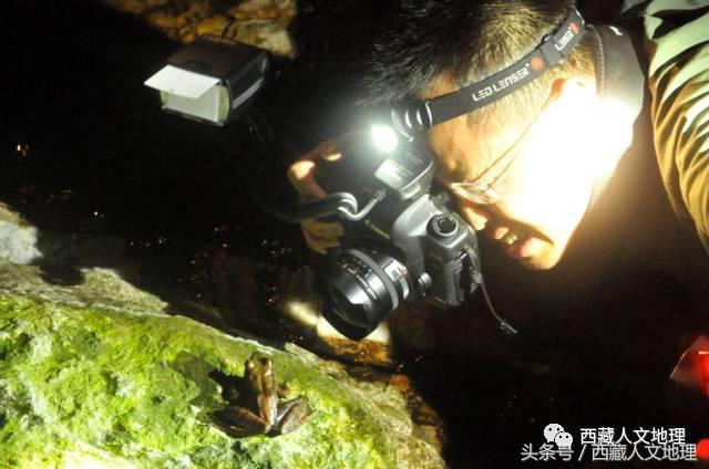 影像捕捉世界最大峽谷的生物多樣性