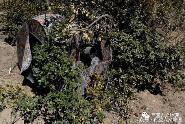 影像捕捉世界最大峽谷的生物多樣性