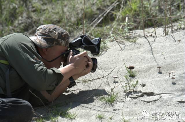 影像捕捉世界最大峽谷的生物多樣性