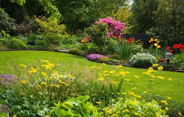 這些美麗卻危險的花木,注意保持距離!