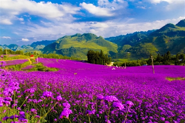 貴州省赫章夜郎國家森林公園