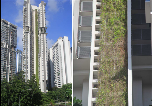 海綿城市與水生態水景觀國際論壇Tan Puay Yok教授演講實錄