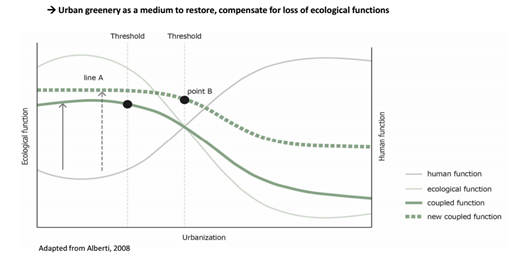 海綿城市與水生態水景觀國際論壇Tan Puay Yok教授演講實錄