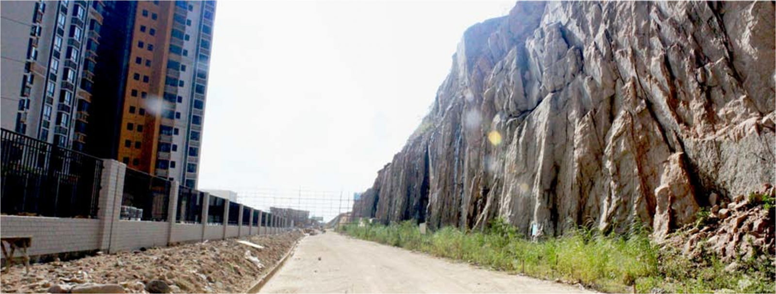 風景園林創新發展論壇劉子明博士演講實錄